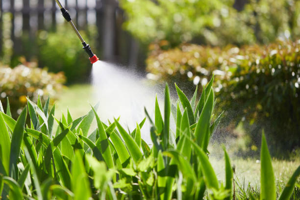 Tamper-Resistant Bait Stations for Rodents in Iowa Park