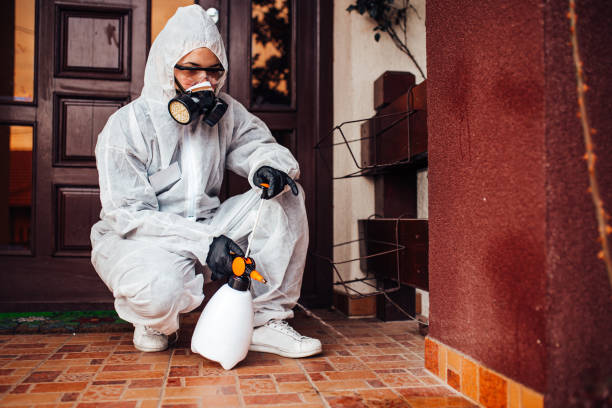 Attic and Crawl Space Rodent Treatment in Iowa Park