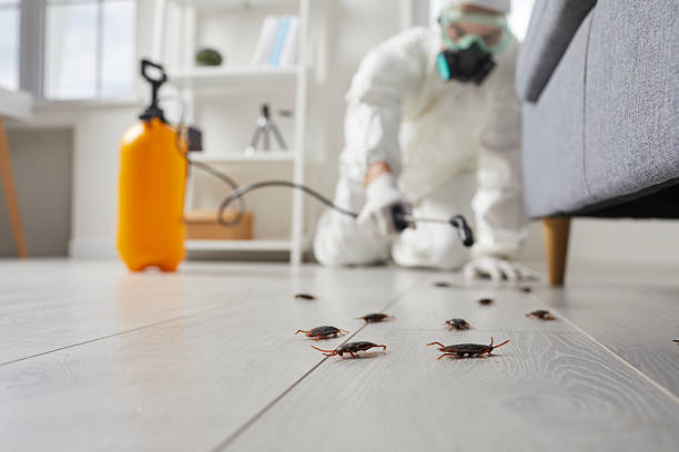 Commercial Rodent Management in Iowa Park